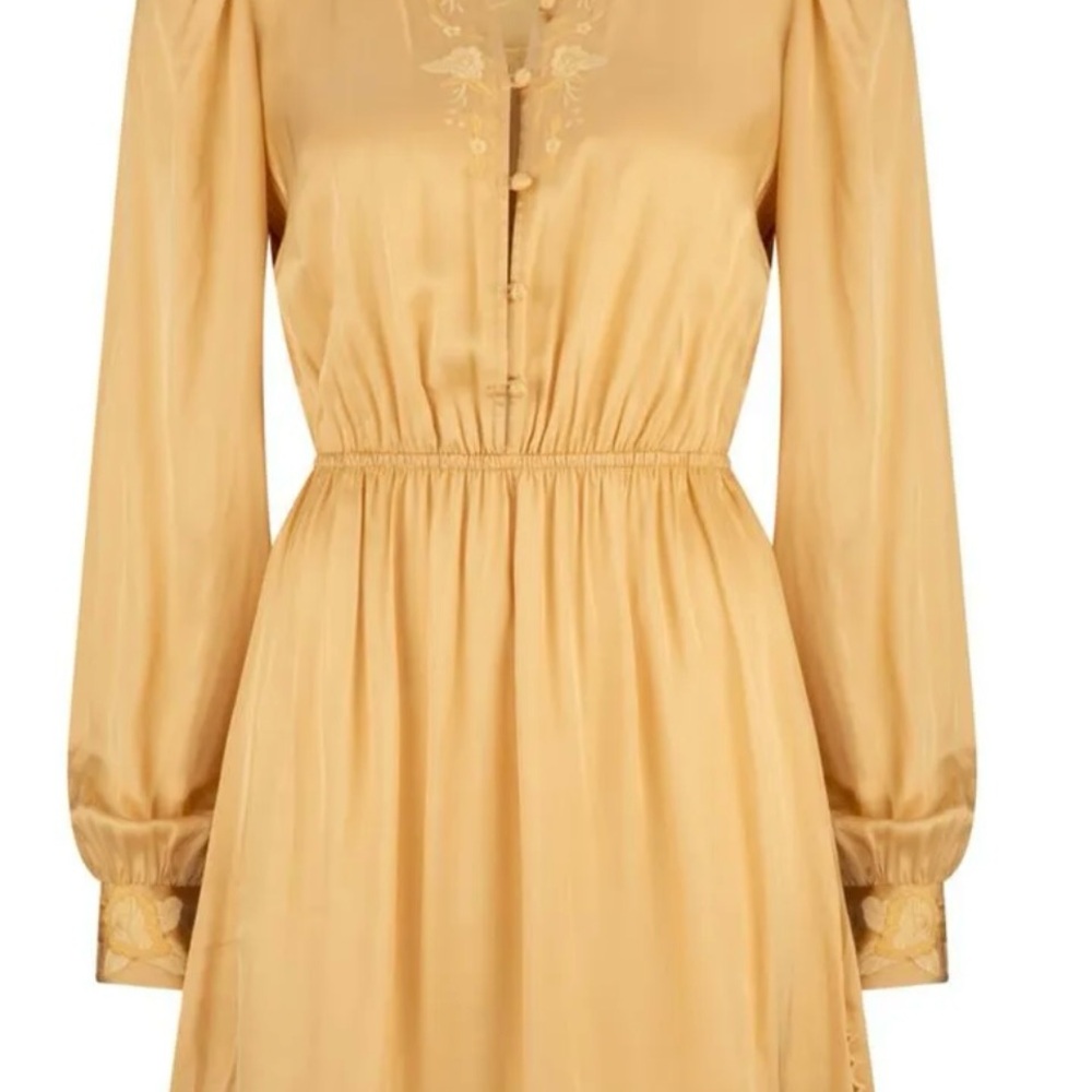 Tigerlily Gold Mini Dress with Embroidery